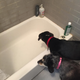 They recommend you read the essay “Against Baths: Interrogating Compulsory Cleanliness” by Rosie and Louise.